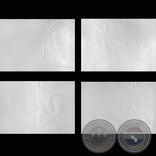 NI DIOSA NI REINA, 2004 (Dibujos al agua de CLAUDIA CASARINO)